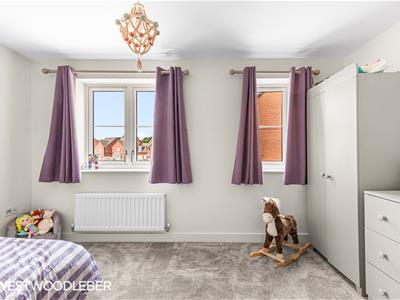 Picture 14